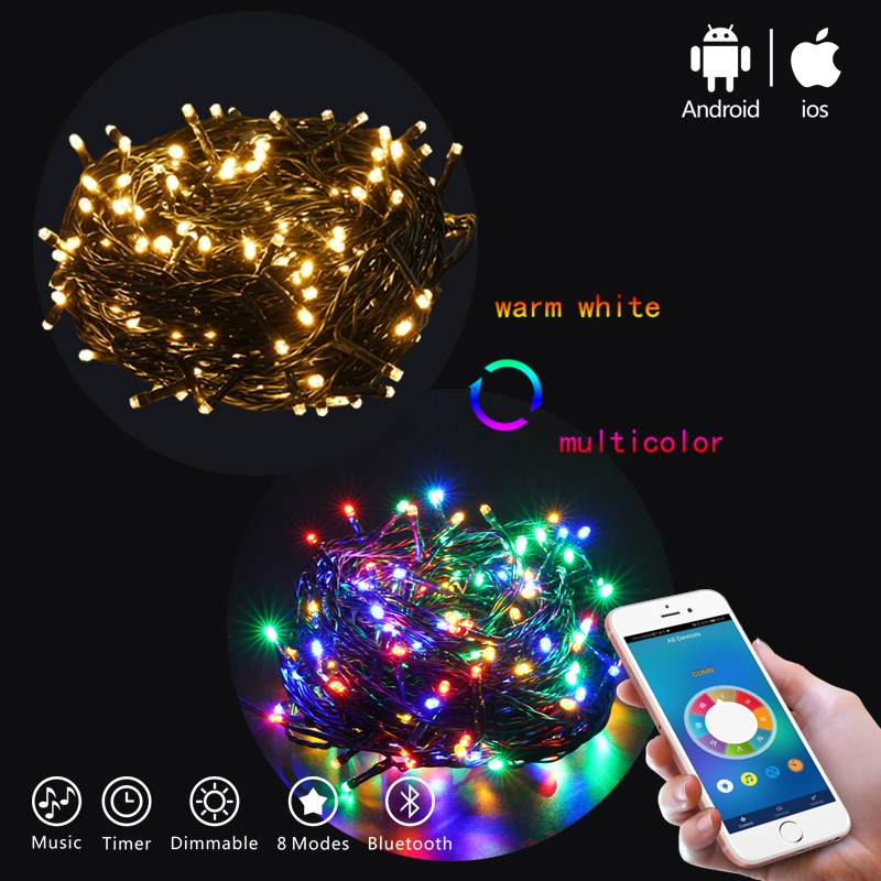 DSL-BT series APP Control string light with Music Wireless outdoor