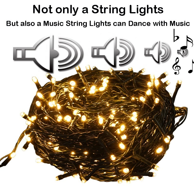 DSL-BT series 8 modes+dimmer+timer+music Bluetooth Control string light