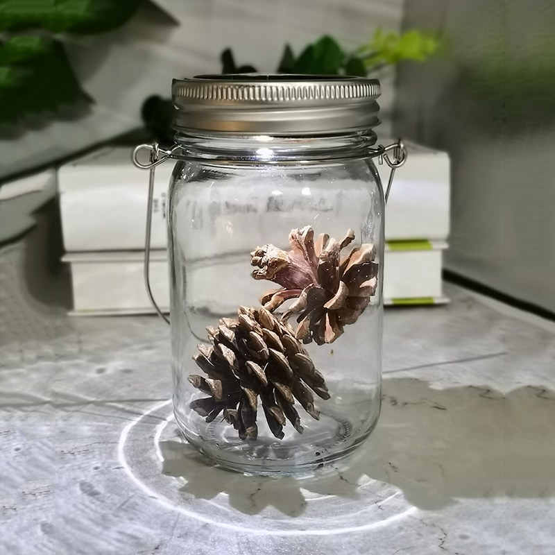 Solar bottle light