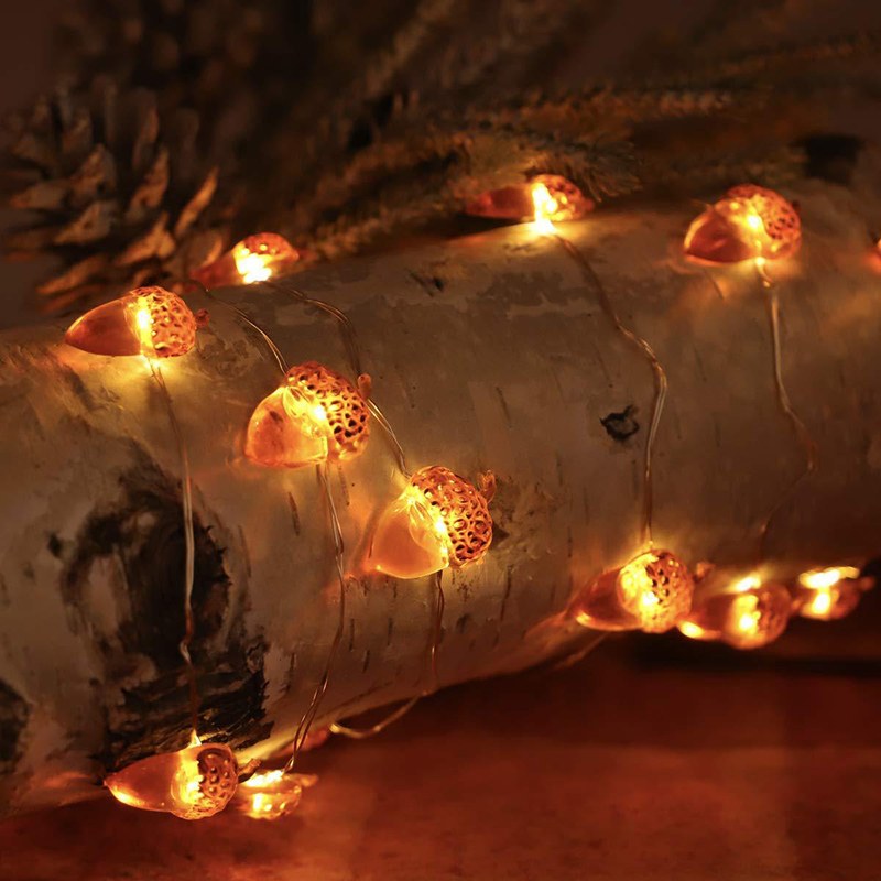 Acorn shaped copper wire string light-3AA/8 functions