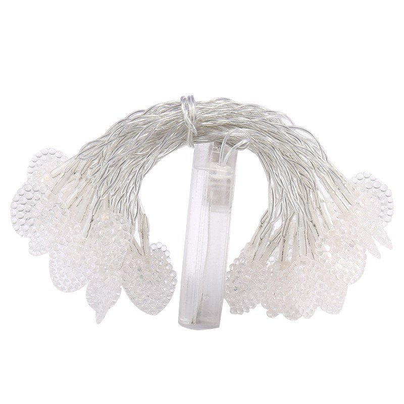 LED string light-Heart 2AA