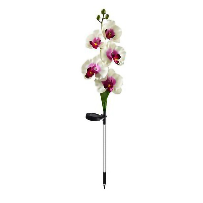 Solar Garden Light- moth orchid