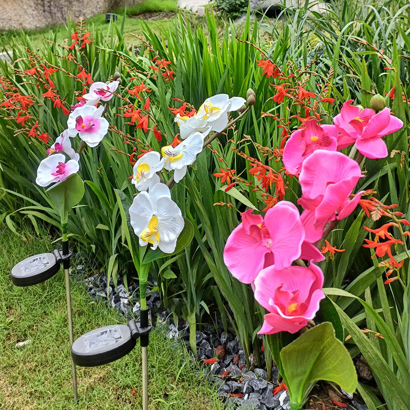 Solar Garden Light- moth orchid