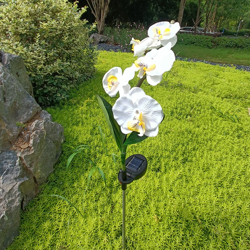 Solar Garden Light- moth orchid
