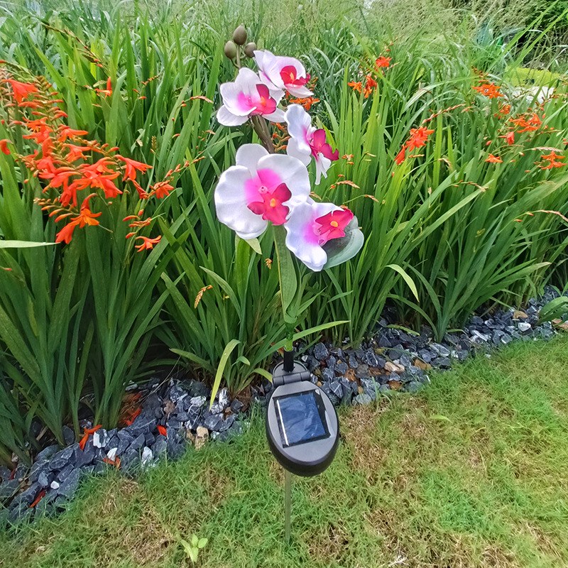 Solar Garden Light- moth orchid