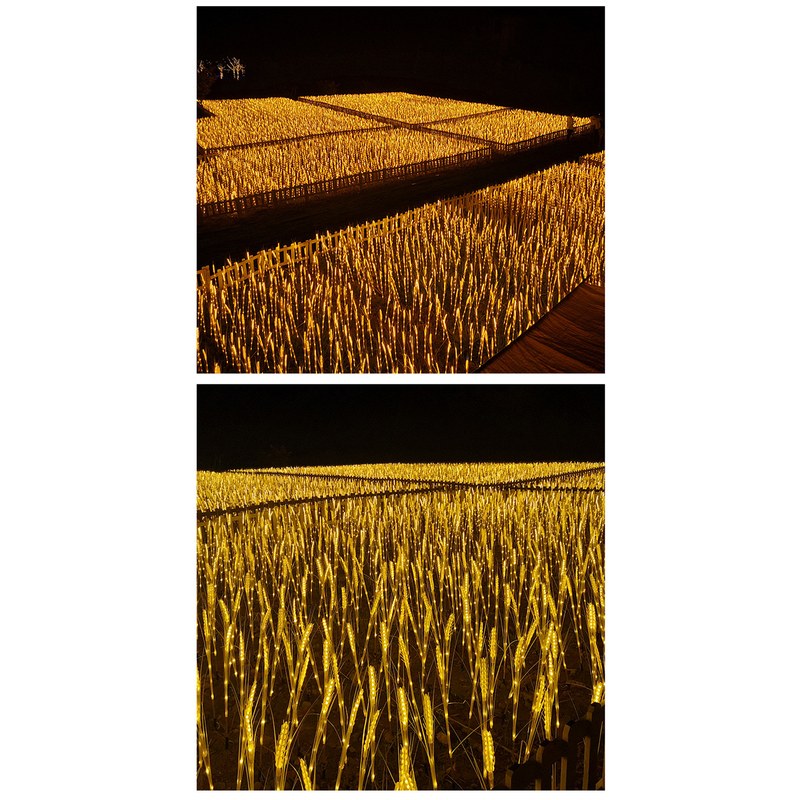 Solar Garden Light- wheat