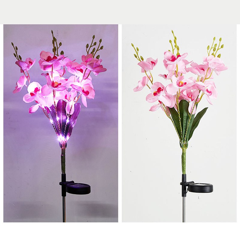 Solar Garden Light-butterfly orchid