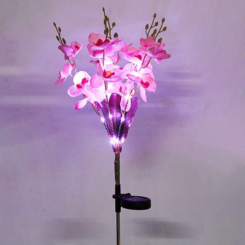 Solar Garden Light-butterfly orchid