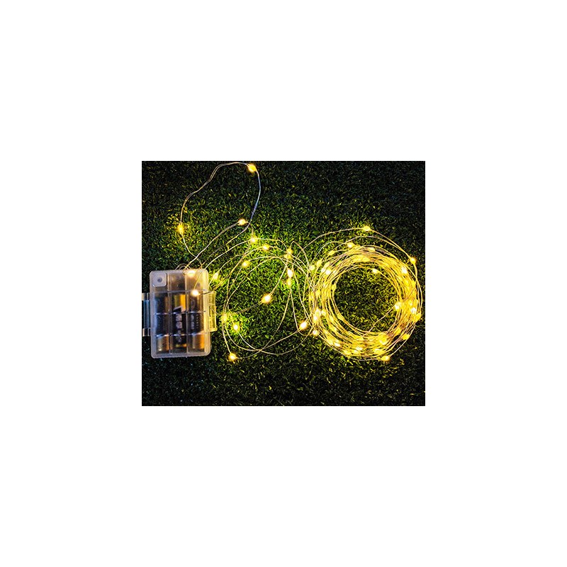 BO copper wire LED String lights WRGB 11function with remote