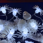 LED String Light-Halloween – YZ-80006